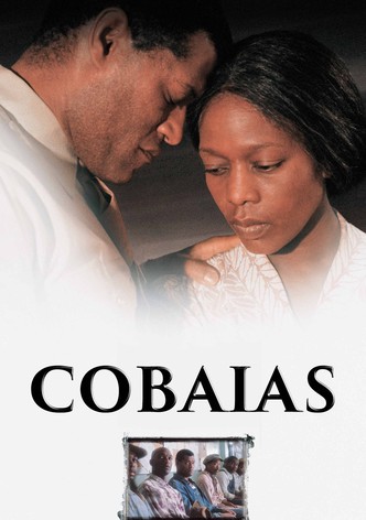 Cobaias