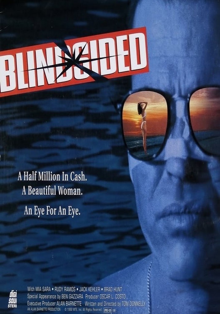 Blindsided - película: Ver online completas en español