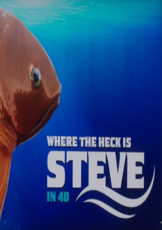 WHERE THE HECK IS STEVE