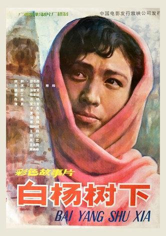 白杨树下