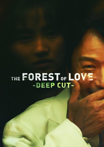 Donde assistir The Forest - ver séries online