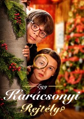 Egy karácsonyi rejtély