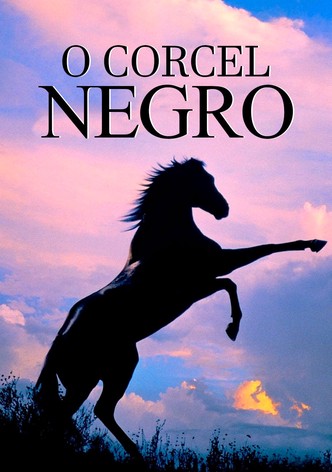 O Cavalo Preto