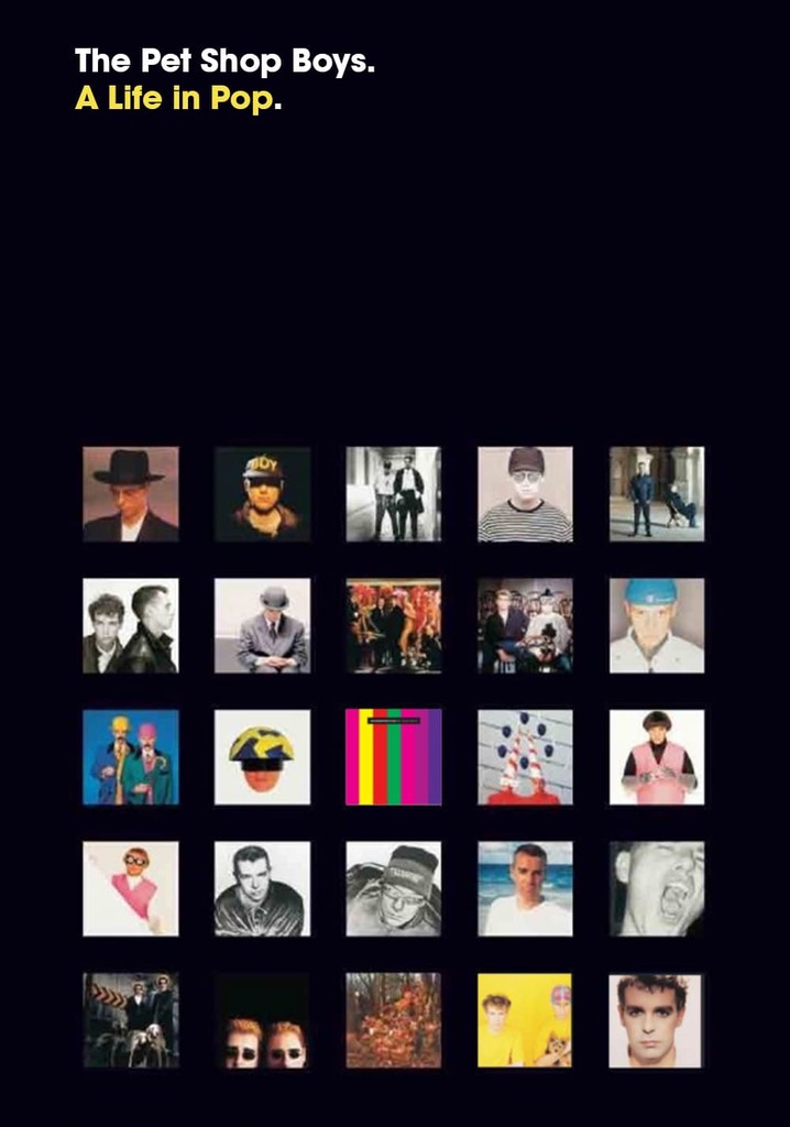Pet Shop Boys: A Life in Pop