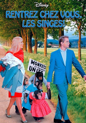 Rentrez chez-vous les singes