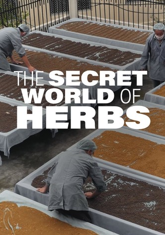 The Secret World of Herbs - Temporada 1