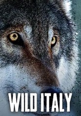Wild Italy
