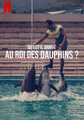 Qu'est-il arrivé au roi des dauphins ?