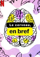 Le cerveau, en bref
