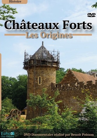 Châteaux-forts : Les origines