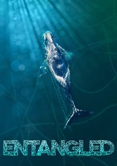 Entangled