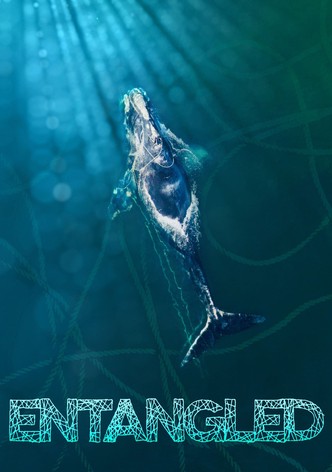 Entangled
