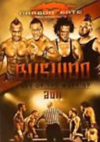 Dragon Gate USA Bushido 2011: Code of the Warrior