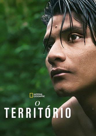 Fenómeno filme - Veja onde assistir online