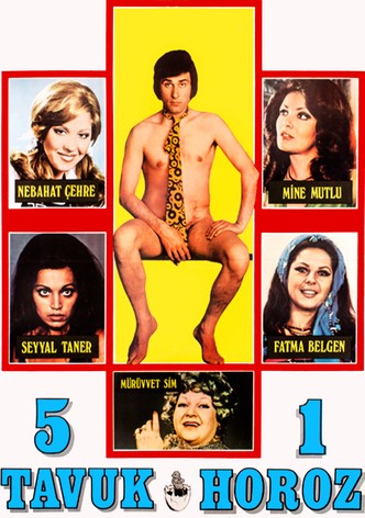 Five Chickens, One Cock