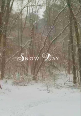 Snow Day