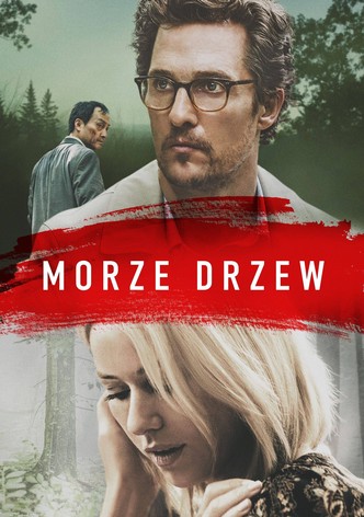 Morze drzew