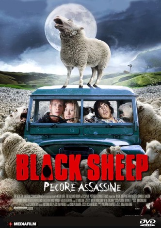 Black Sheep - Pecore assassine