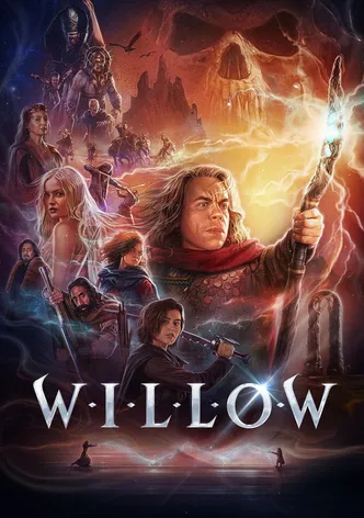 Willow poster