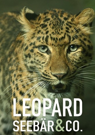 Leopard, Seebär & Co.