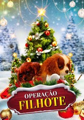 Projeto: Filhotes Para o Natal