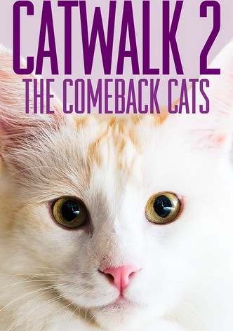 Catwalk 2: The Comeback Cats