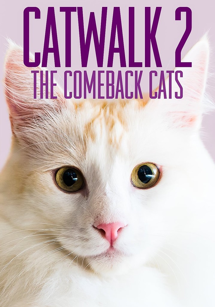 Catwalk 2: The Comeback Cats