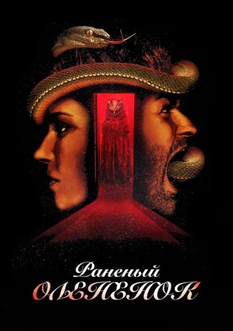 Раненый оленёнок