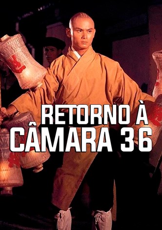 Retorno à Câmara 36