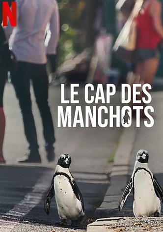 Le Cap des manchots