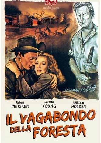 Il vagabondo della foresta