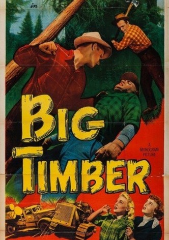 Big Timber