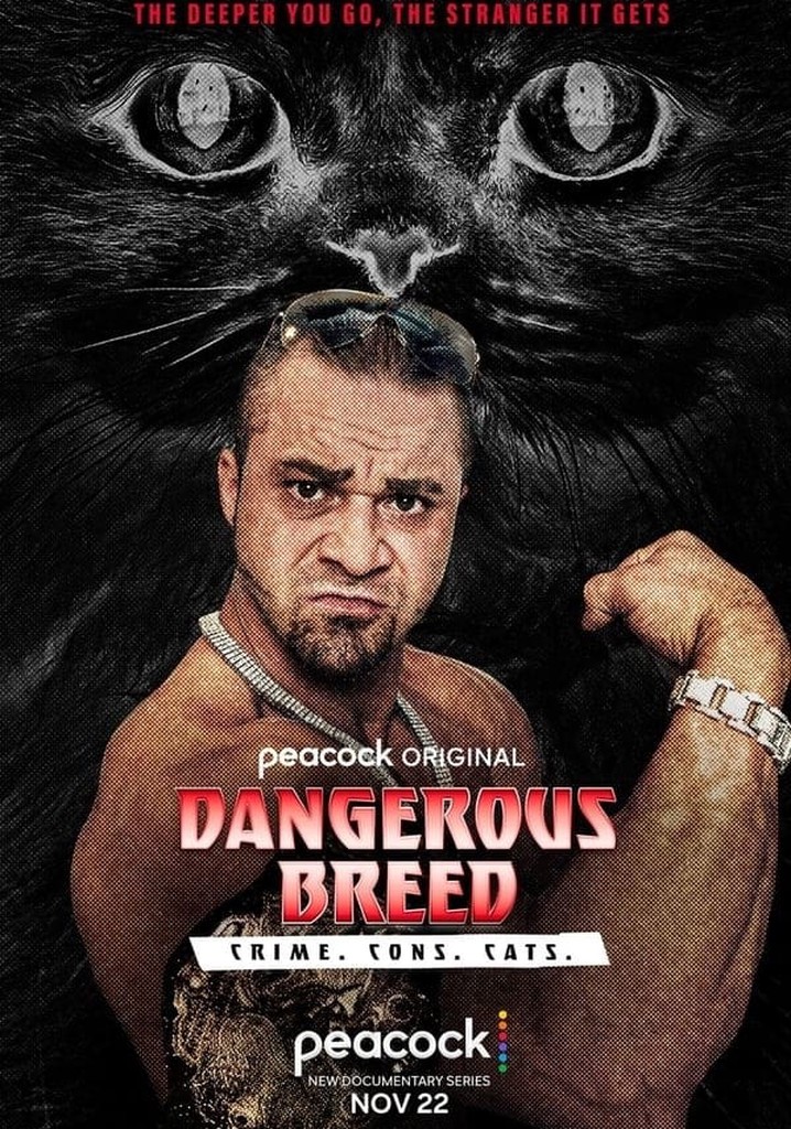 Dangerous Breed: Crime. Cons. Cats.