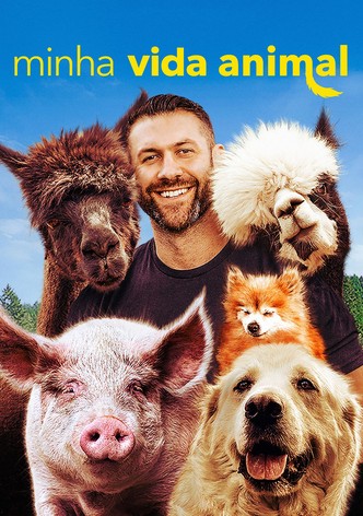 Minha Vida Animal