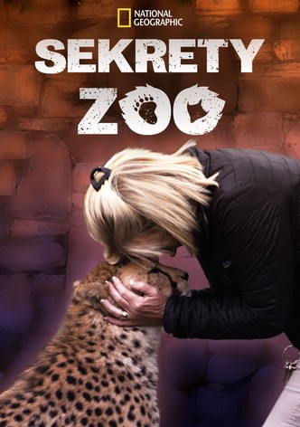 Sekrety zoo
