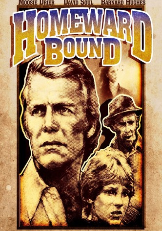 Homeward Bound