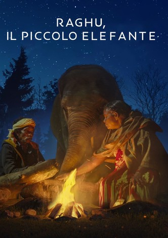 Raghu, il piccolo elefante