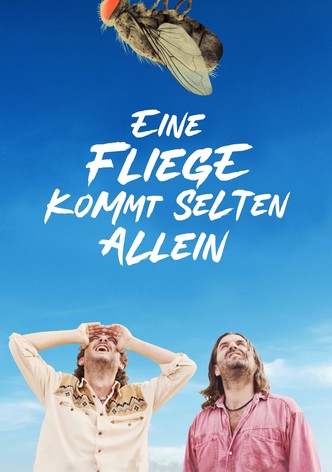Eine Fliege kommt selten allein