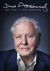 David Attenborough: Egy élet a bolygónkon