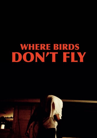Where Birds Don't Fly