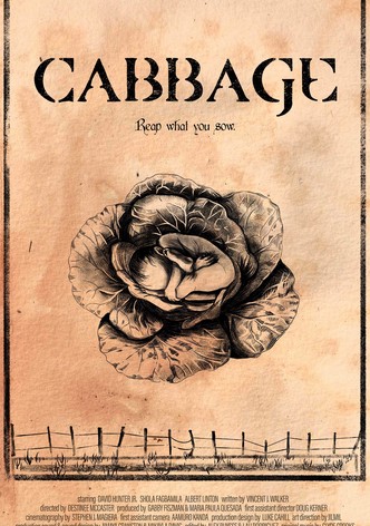 Cabbage