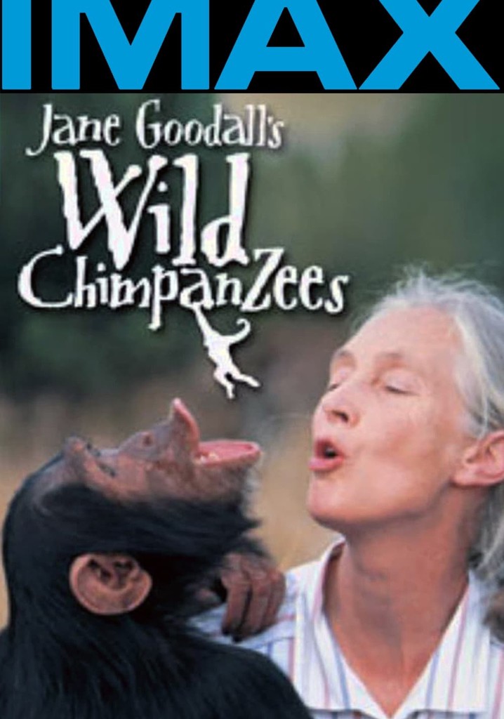 Jane Goodall's Wild Chimpanzees