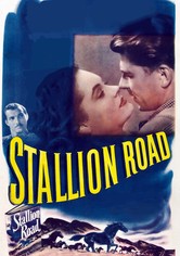Stallion Road