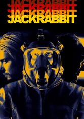 Jackrabbit