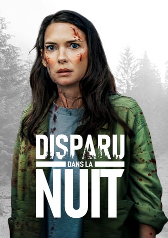 Disparu dans la nuit