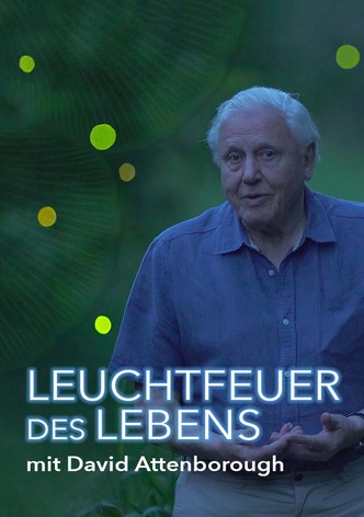 Leuchtfeuer des Lebens