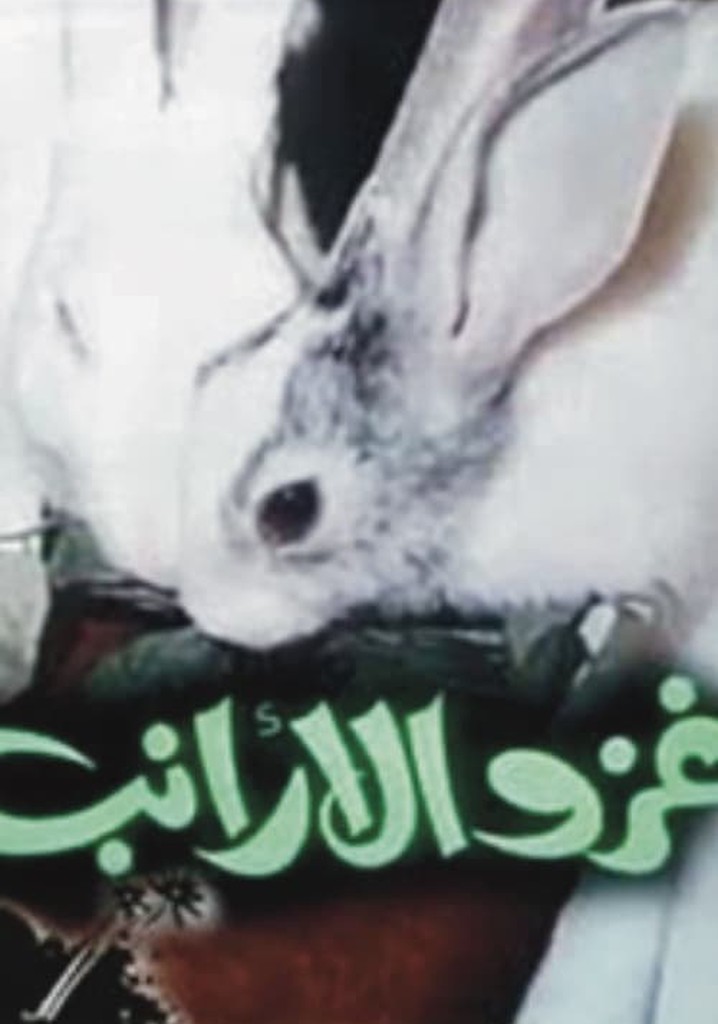 The Rabbits invasion