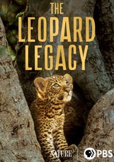 The Leopard Legacy