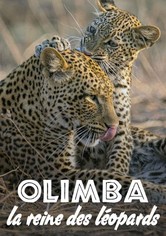 Olimba, la reine des léopards