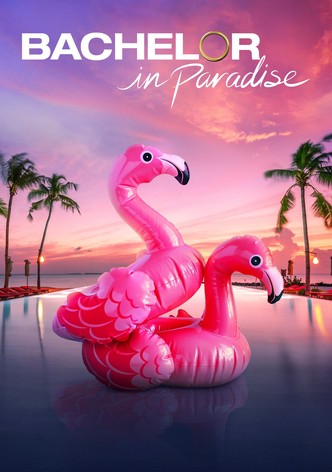 Watch bachelor in paradise online 2024 free